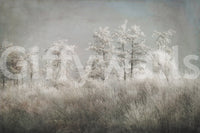 A high-quality abstract print wall mural for walls., GD5627