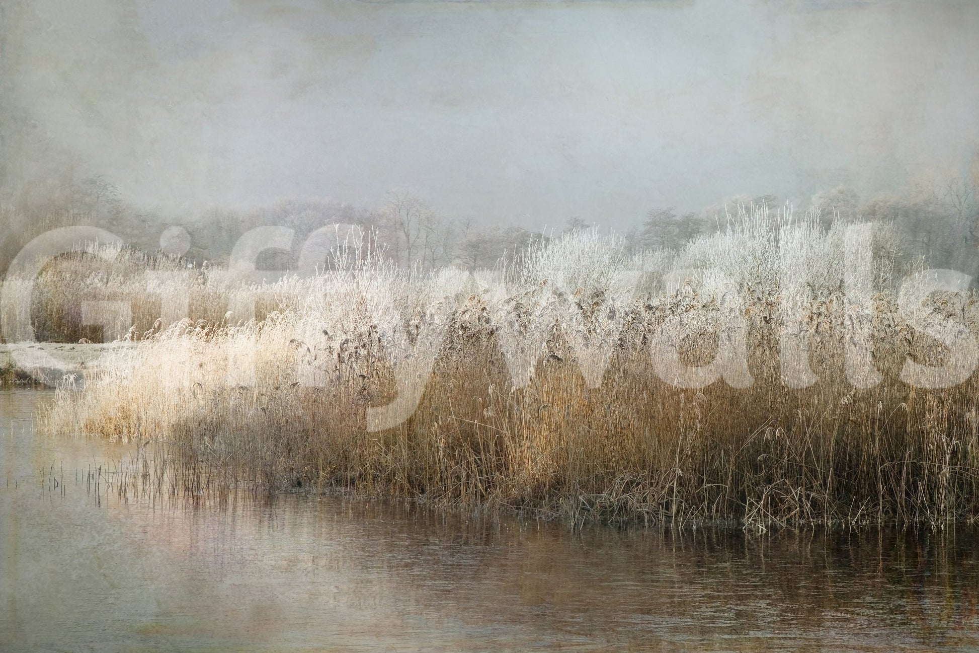 A high-quality minimalist wall mural for walls.
