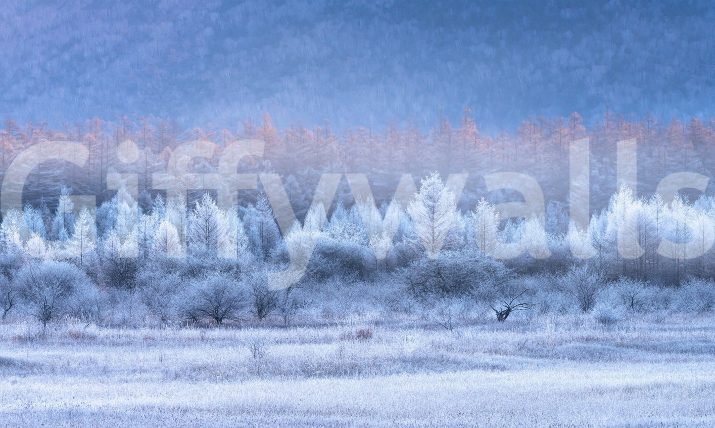 A high-quality minimalist wall mural for walls.