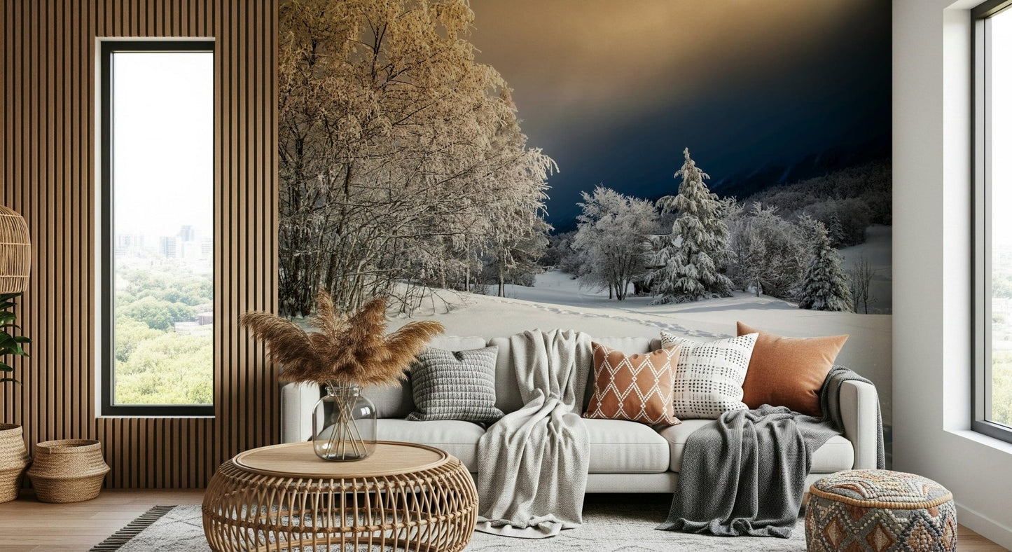 Frozen Footsteps Wall Mural