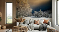 Frozen Footsteps Wall Mural