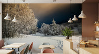 Frozen Footsteps Wall Mural