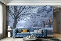 Mural wallpaper showing frozen woodland path

