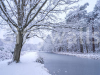 Serene woodland mural in winter tones

