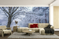 Wallpaper for walls with quiet winter forest

