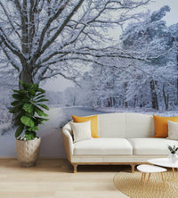 Winter forest wallpaper with icy landscape
