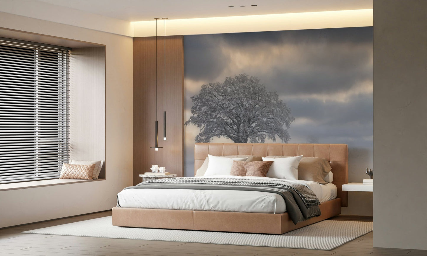 Glorious Solitaire wallpaper depicting a serene, snow-dusted tree in mist.