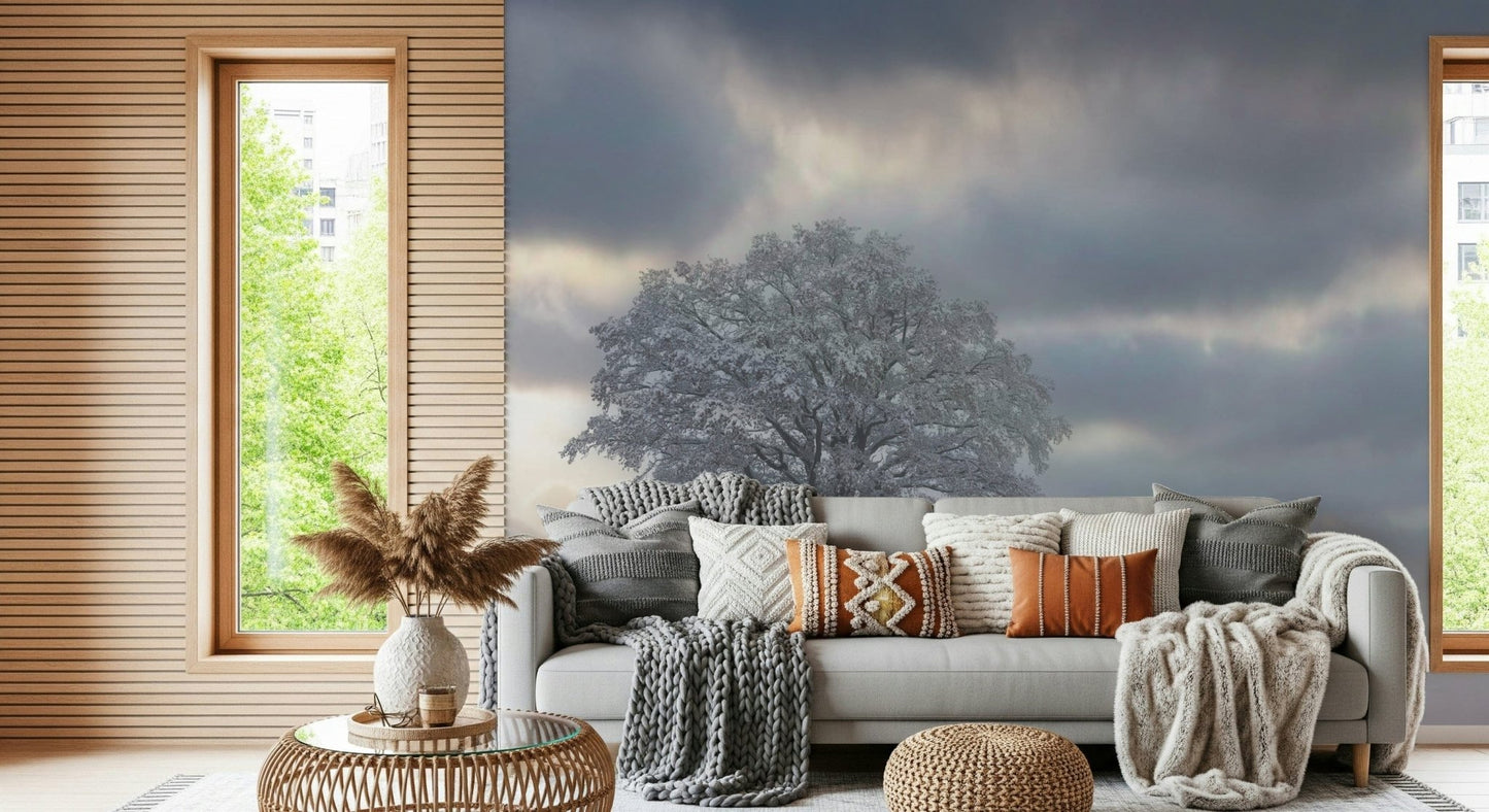 Solitary Frozen Woodland wallpaper capturing a frosty, misty environment.