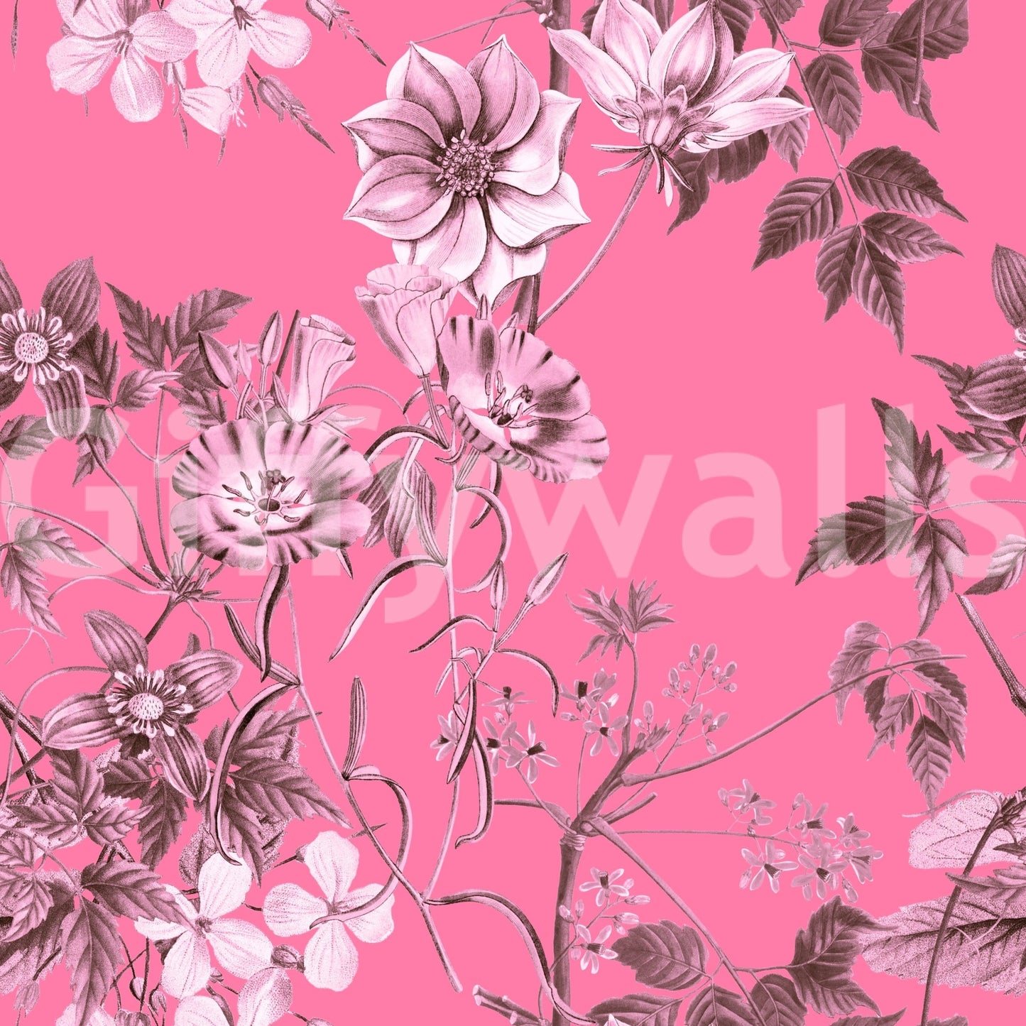 Pink flower wallpaper with botanical sketch detail and balanced contrast