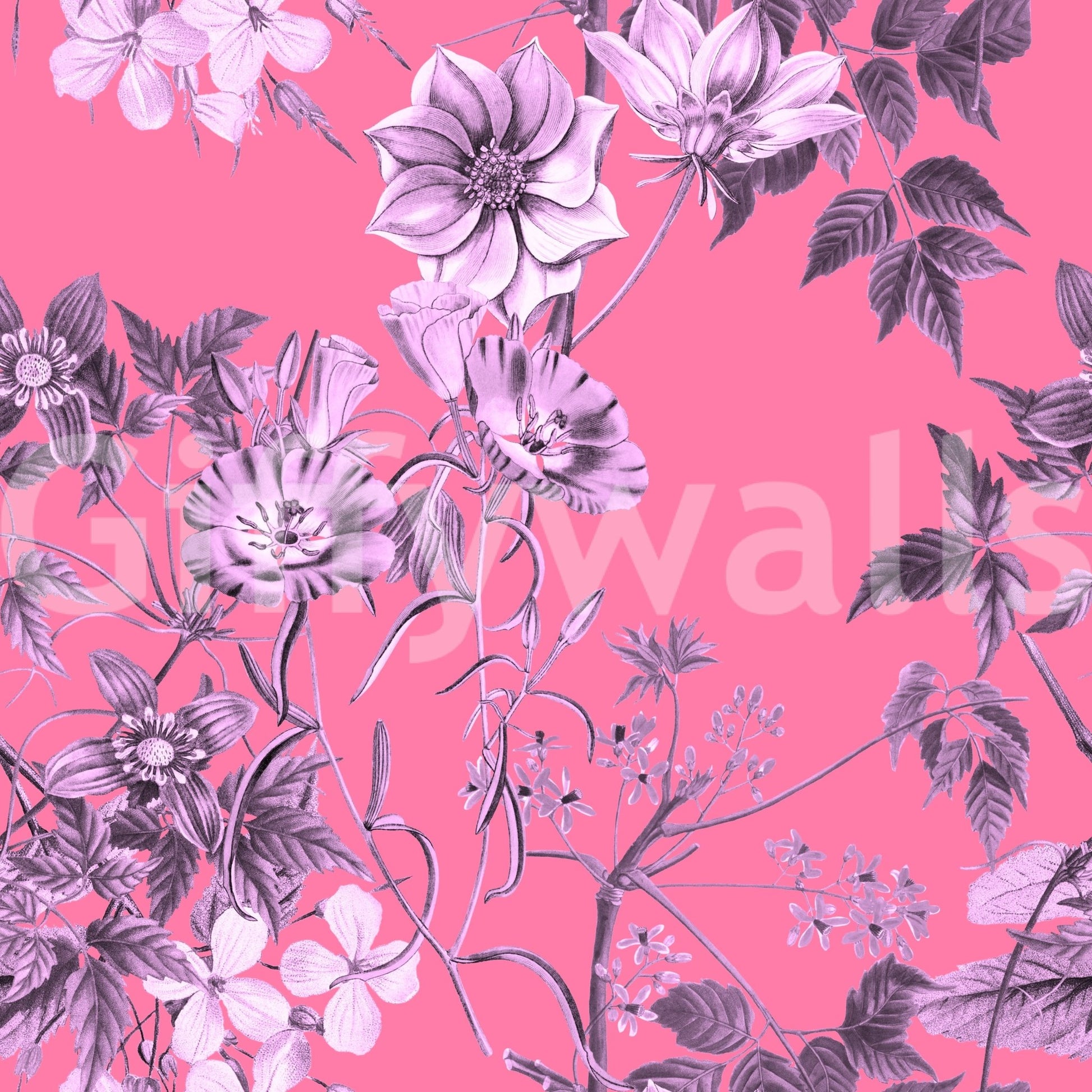 Fuchsia floral wallpaper with pale blossoms and layered botanical sketch detail