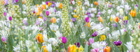 Minimal floral pattern wallpaper, GD2447