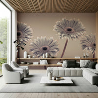 Monochromatic flower Gerbera Calm Wall Mural, peaceful nature wallcovering.