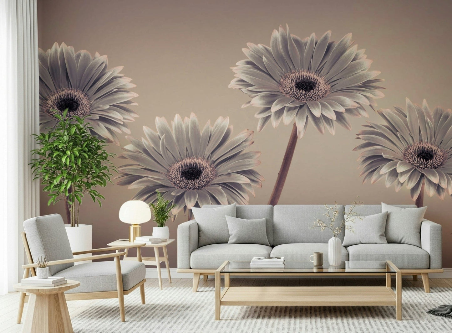 Abstract daisy field Gerbera Calm Wall Mural, gorgeous contemporary wall art.