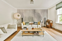 A contemplative hazy design wallpaper mural for a feature wall.

