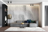 A beautiful modern art wall mural of delicate forms.

