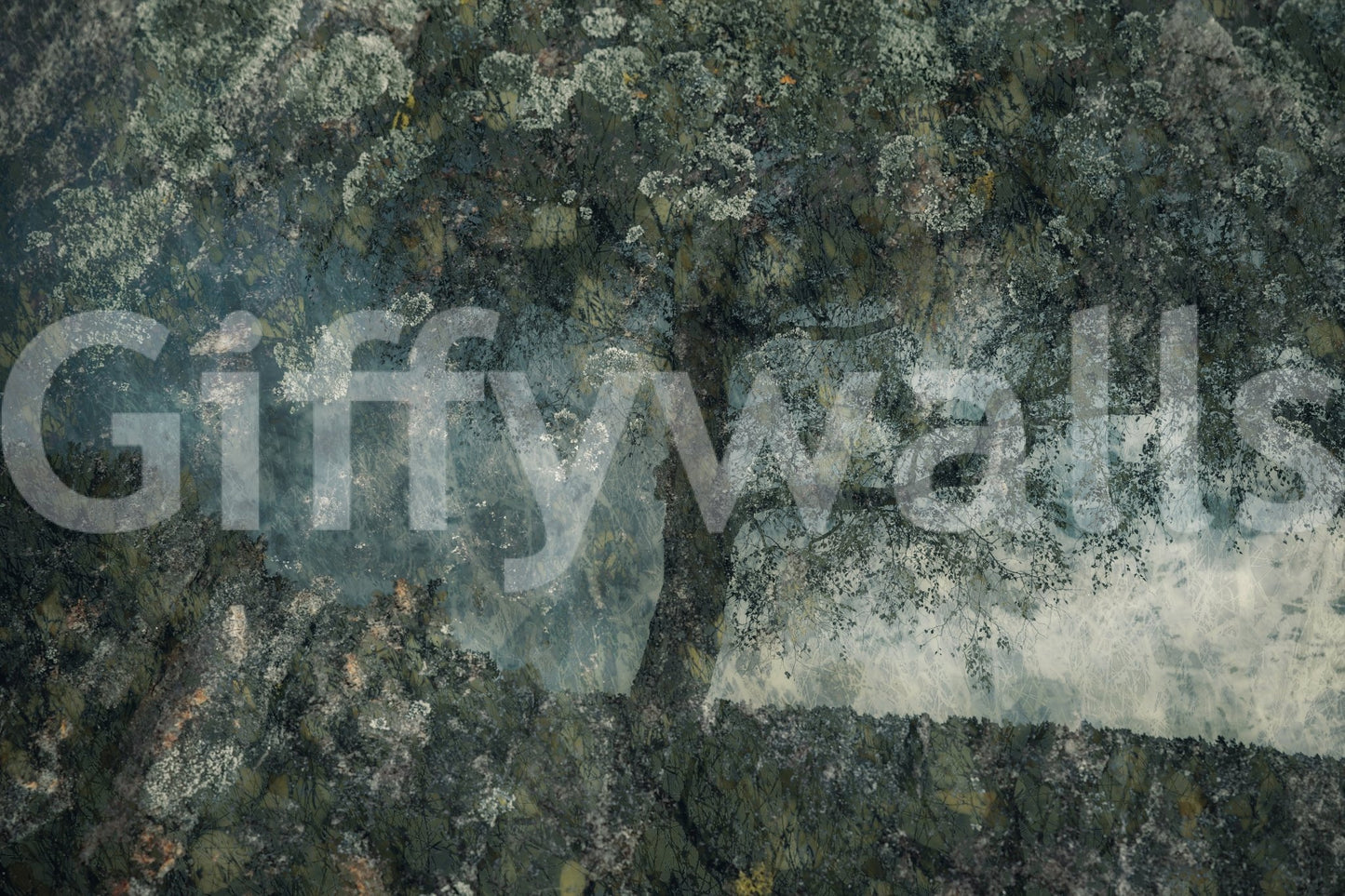 A high-quality abstract print wall mural for walls., GD5616