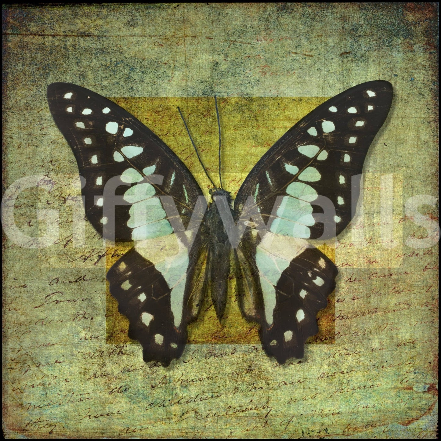 Exotic Gilded Butterfly accent wall covering.