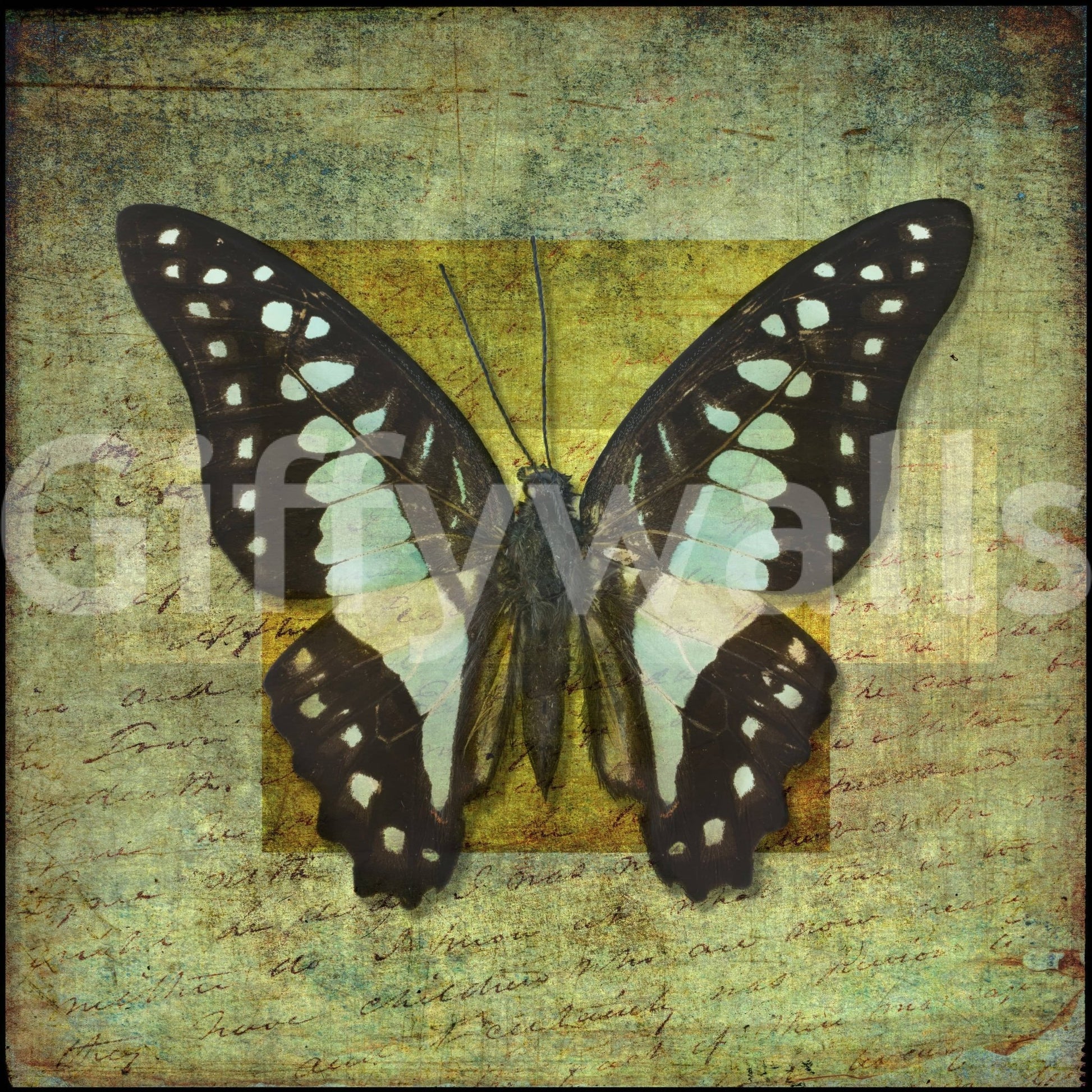 Exotic Gilded Butterfly accent wall covering.