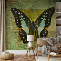 Decorative Gilded Butterfly entomology wallpaper mural.