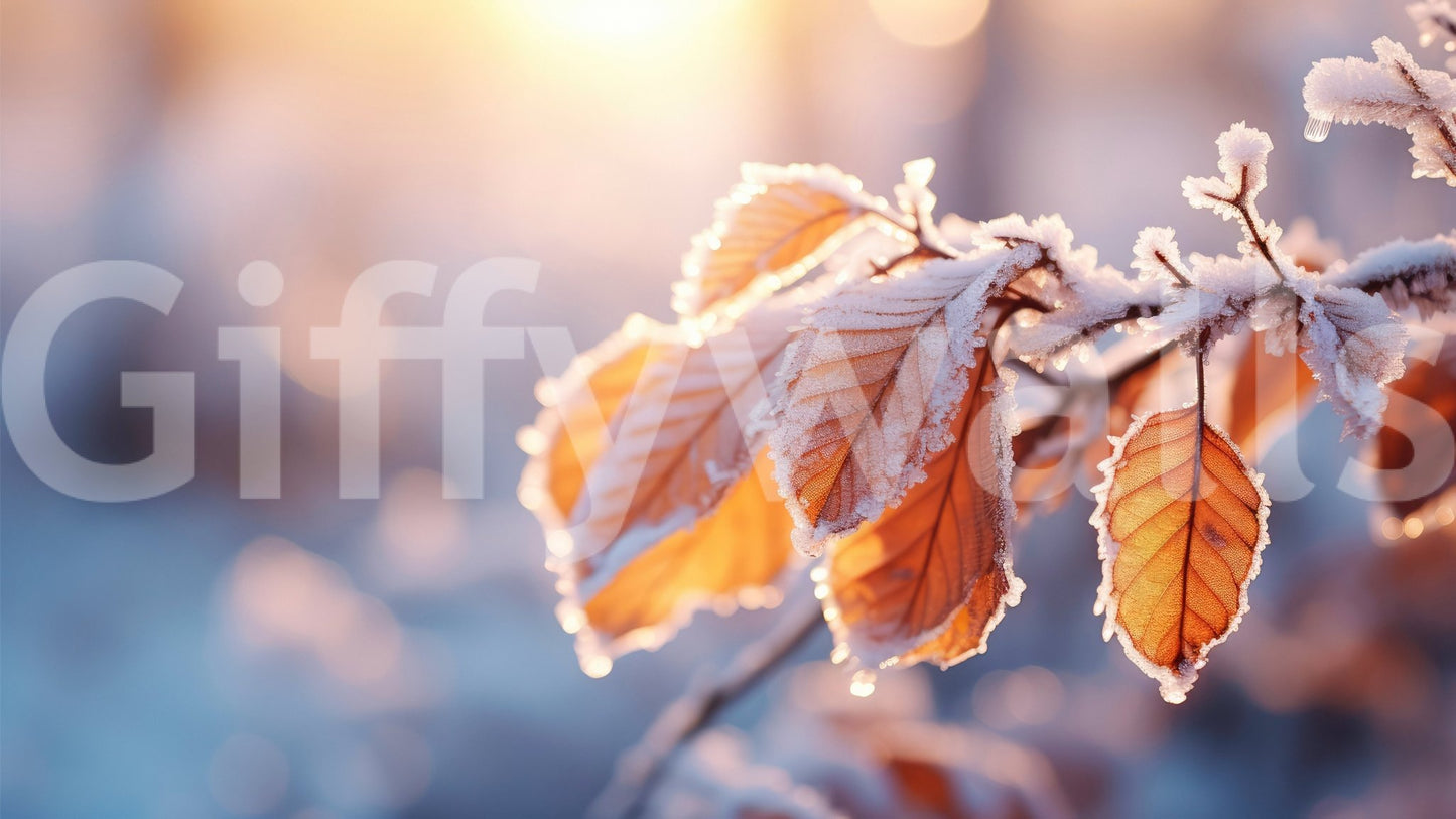 A high-quality abstract print wall mural for walls.