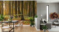Deep forest Gilded Woods Wallpaper Wall Mural wide angle.