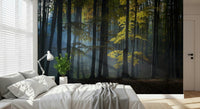 Captivating Glimmering Forest Woodland wall covering, silent hollow with bright accents.
