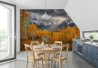 Nature wall mural with aspen foliage in amber, gold, and brown tones, GD9308