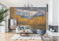 Autumn woodland wall mural with warm yellow trees and scenic texture, GD9308