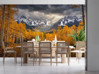 Golden Aspen Majesty Wall Mural with glowing autumn trees and earthy color, GD9308