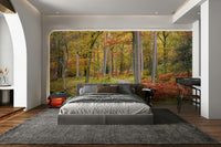Nature wall mural showing autumn road view

