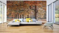 Path through golden autumn trees wall mural

