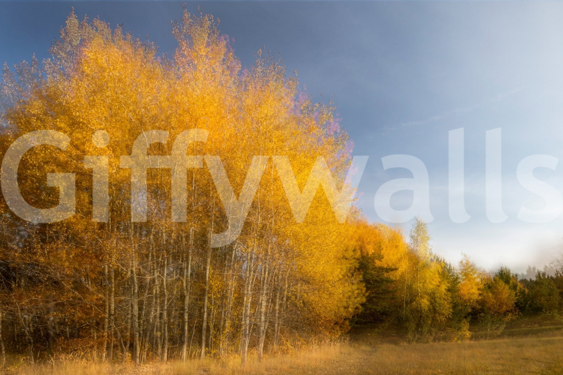 Evokes a feeling of awe and natural beauty.