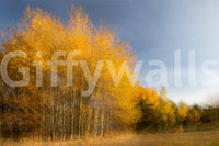 Evokes a feeling of awe and natural beauty.