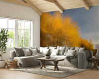 Features a forest landscape during the autumn season, showcasing trees with colorful foliage.
