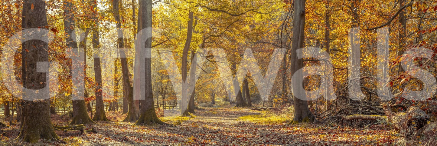 Focus on autumnal colors and natural light.

