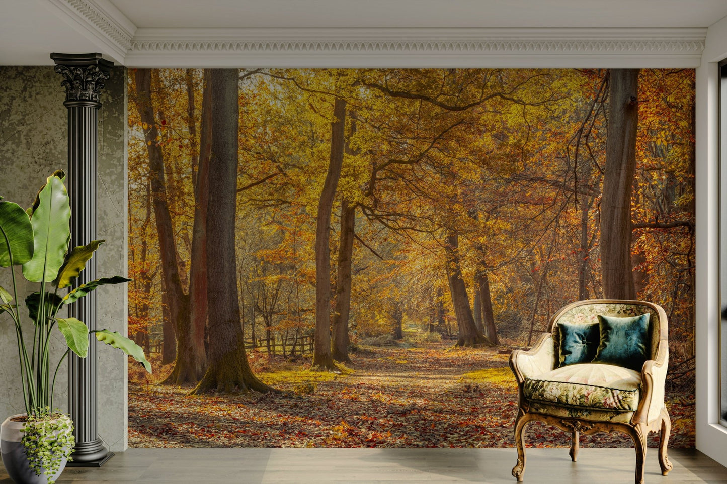 Luminous and inviting atmosphere.

