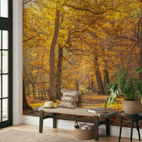 High-resolution image of an autumn forest.

