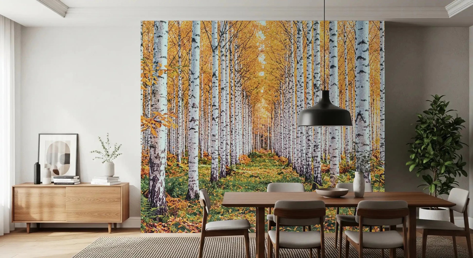 Golden Birch Forest Path Wall Mural
