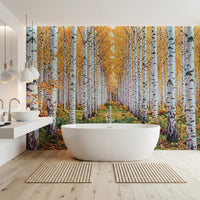 Golden Birch Forest Path Wall Mural