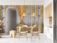 Golden Birch Forest Path Wall Mural