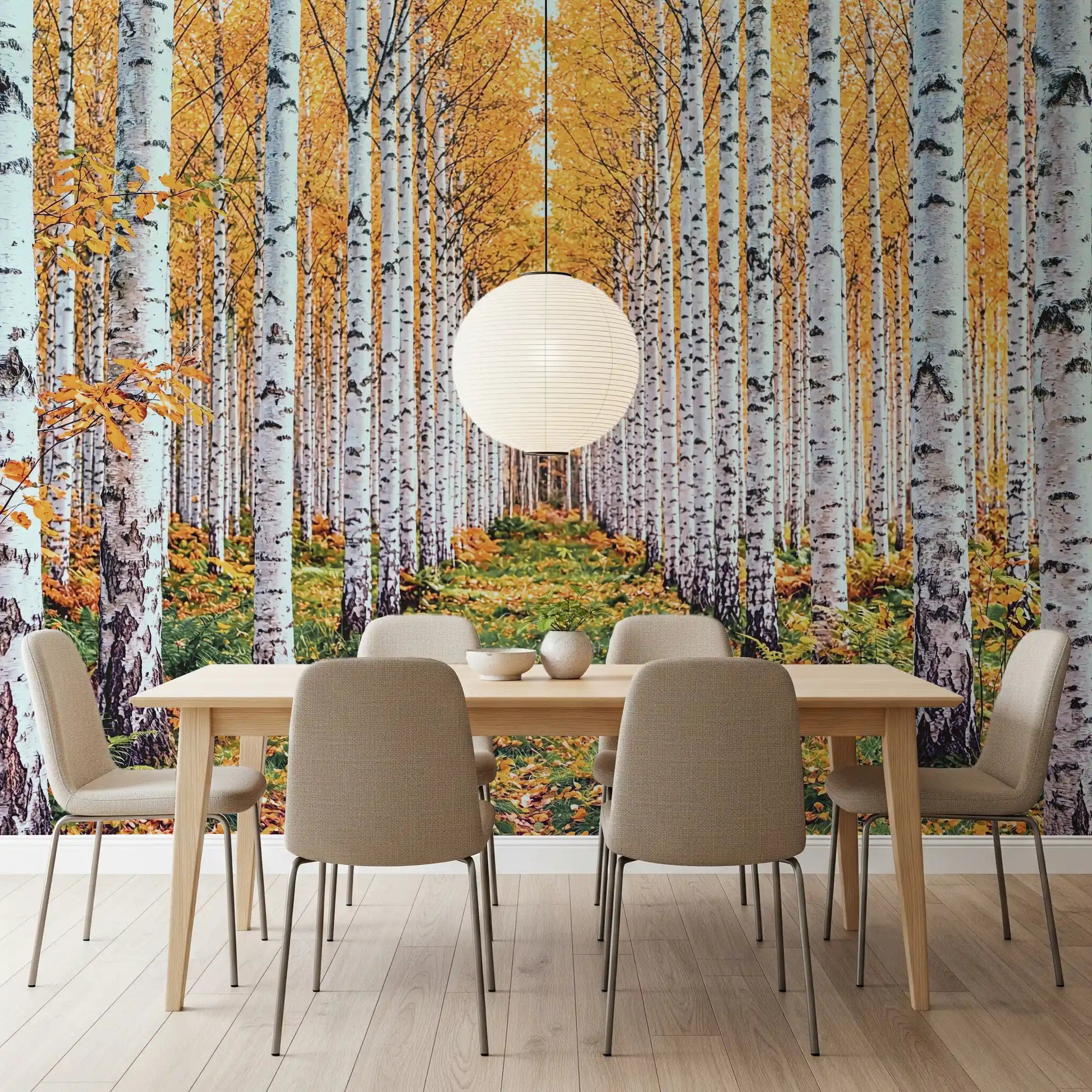 Golden Birch Forest Path Wall Mural
