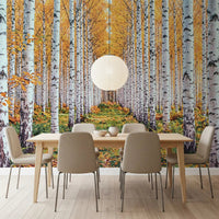 Golden Birch Forest Path Wall Mural