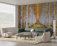 Golden Birch Forest Path Wall Mural