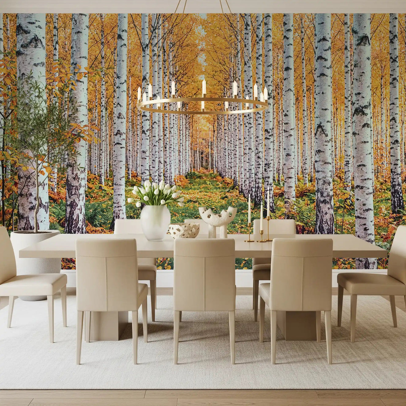Golden Birch Forest wall mural with dining room white trunks and glowing autumn leaves