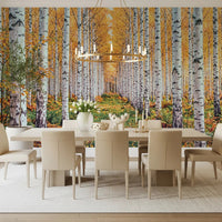 Golden Birch Forest Path Wall Mural