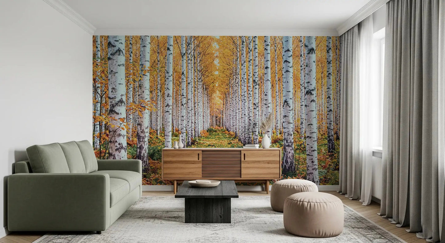 Golden Birch Forest Path Wall Mural