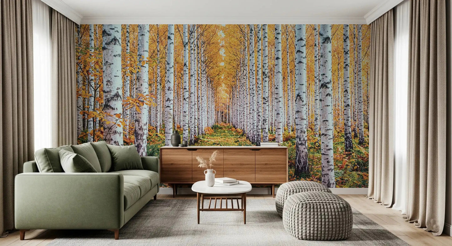 Golden Birch Forest Path Wall Mural