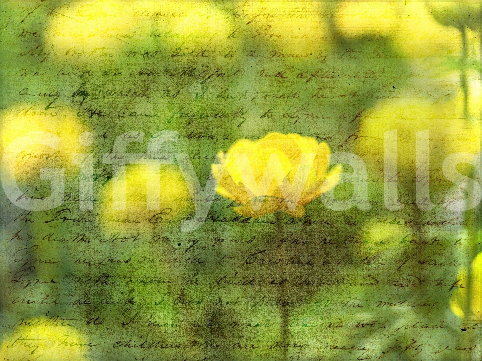 Golden Bloom Script Wall Mural
