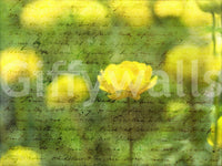 Golden Bloom Script Wall Mural