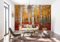 Golden Canopy, Red Carpet wall mural with vivid red ground cover